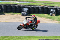 enduro-digital-images;event-digital-images;eventdigitalimages;lydden-hill;lydden-no-limits-trackday;lydden-photographs;lydden-trackday-photographs;no-limits-trackdays;peter-wileman-photography;racing-digital-images;trackday-digital-images;trackday-photos